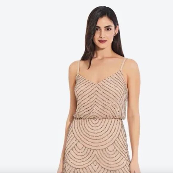 NEW $199  Adrianna Papell Sequin Mesh Blouson Dress in Taupe Pink   Size 2 - Picture 2 of 6